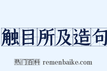 触目所及造句是什么意思的图片